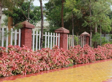 Shrubbery beds at Sector 15 Garden